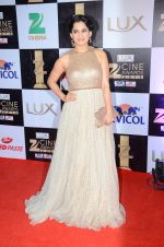 at zee cine awards 2016 on 20th Feb 2016